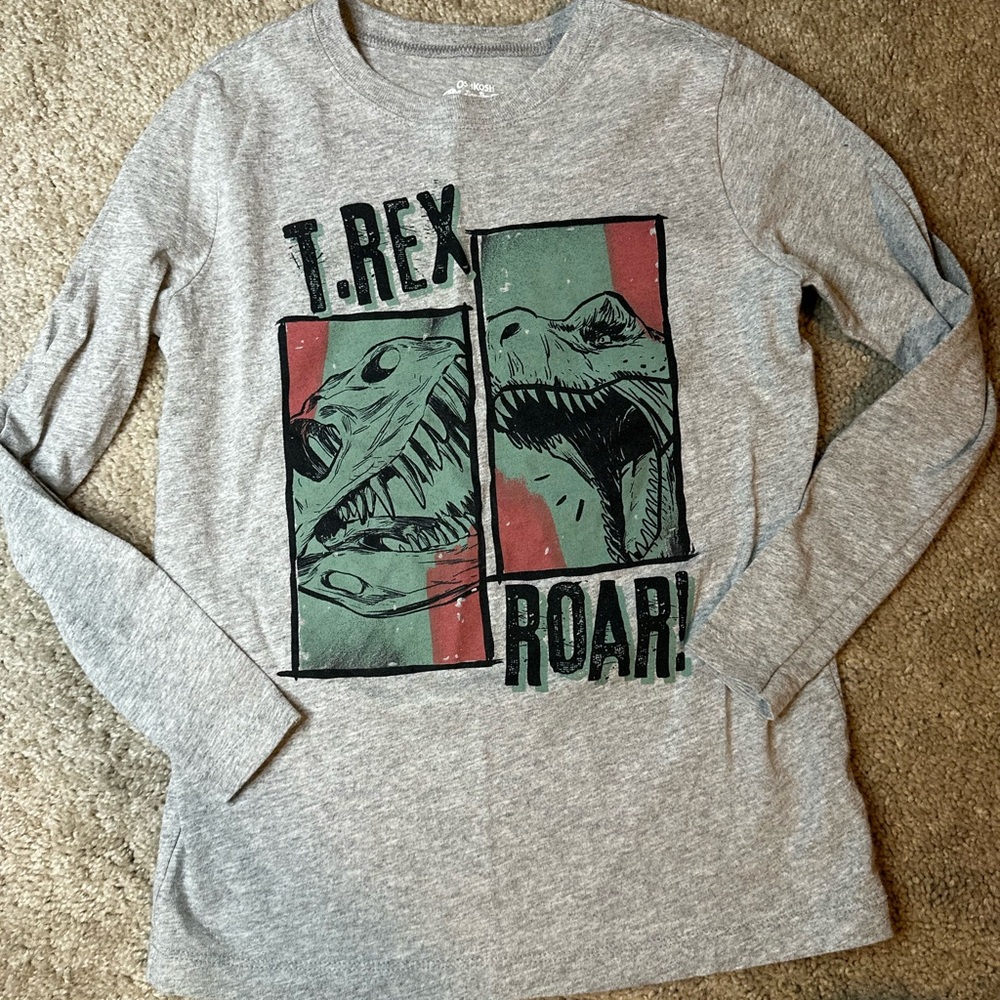 Boys Gray T-Rex Roar Kids Long Sleeve Shirt